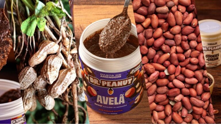 amendoim em varias etapas de produção